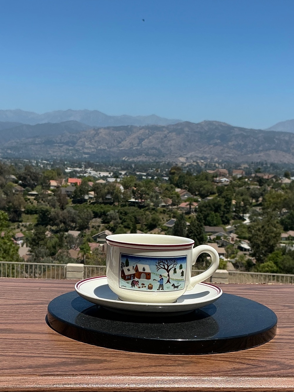 Villeroy & Boch White Teacup and Saucer